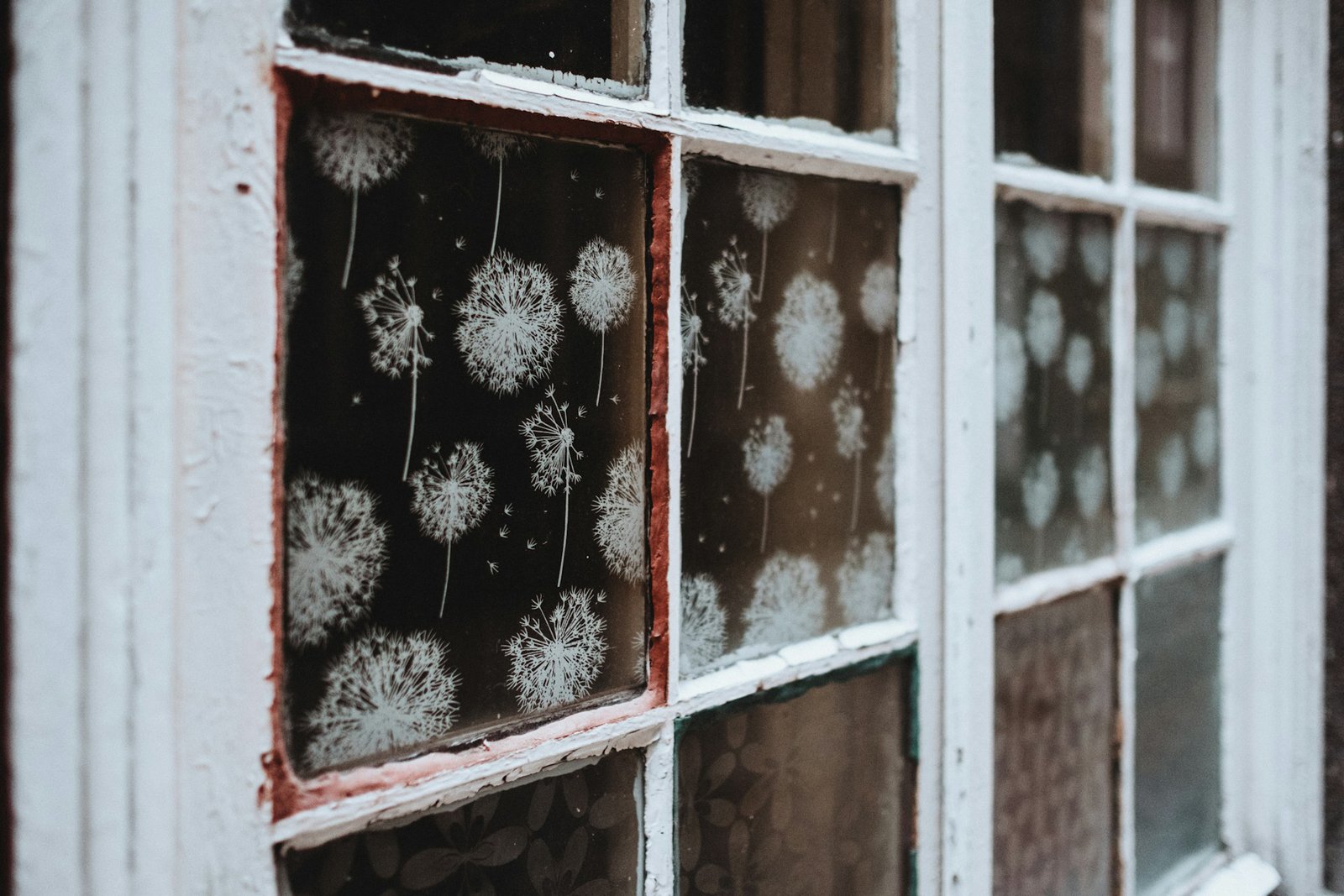 Geschlossenes Fenster im Winter mit Kondenswasser am Glas